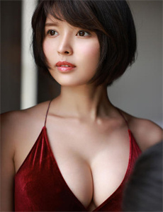 小犬当家